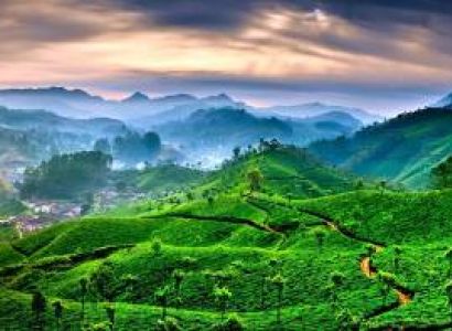 Kerala 3days 2nights Tour Package