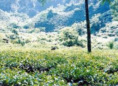 3 Days/2 Night Tour Package