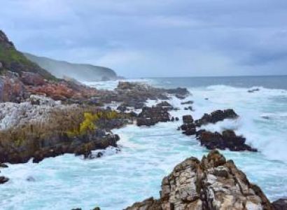 Garden Route - Port Elizabeth to Cape Town Tour