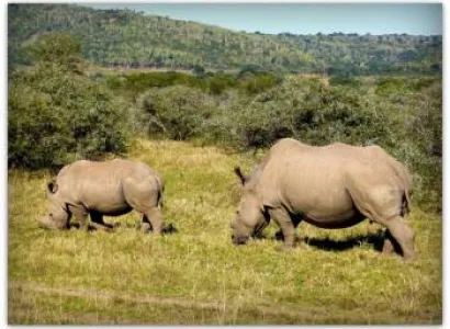 Eastern Cape Safari Tour Package