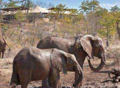 Victoria Falls Safari Tour Package