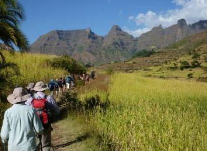 Wildlife Holiday & Treeking to Bale and Semien Mountains Tour