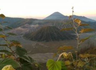 Malang - Bromo - Ijen - Ketapang Tour