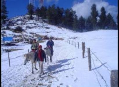 Chandigarh - Shimla - Manali Tour