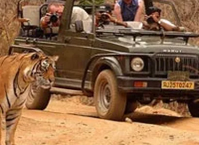 Golden Triangle Tour with Ranthambore