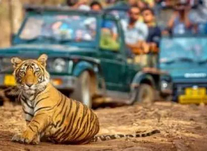 Short Trip to Ranthambore - Weekend Getaway (Ex Delhi)