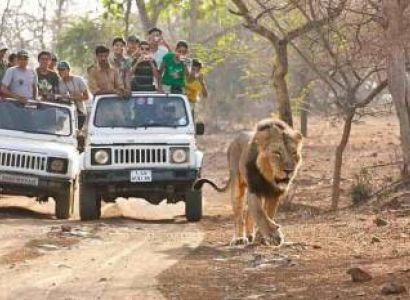 Gujarat Tour Package 5 Night 6 Days