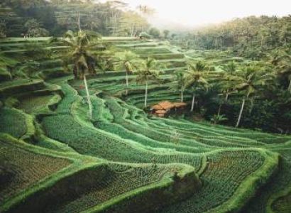 Bali Special Package for 7 Days-3 Star