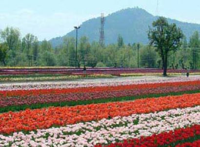 Kashmir Special Tour