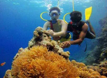 Andaman Tour Package