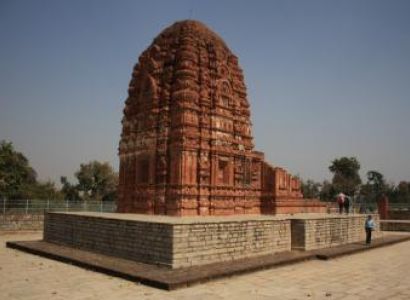 India Tiger & Tribal Tour