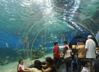 7 Days Sizzling Singapore With Bali Package