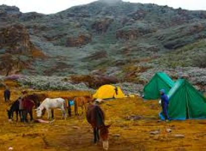 Tour of the Dragon Birds