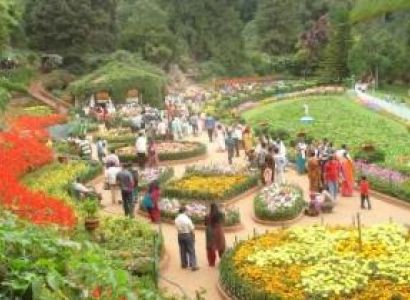 Ooty - Hyderabad Tour