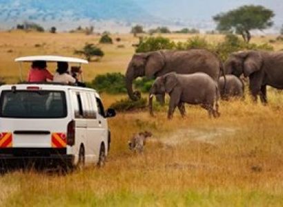 3 Days Masai Mara Tour