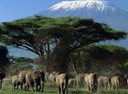 3 Days Amboseli Offer Tour