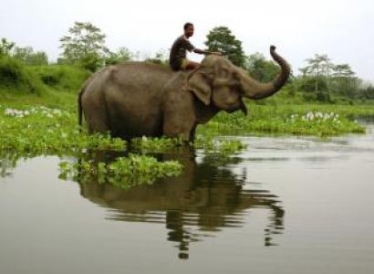 Arunachal Monastic Tour