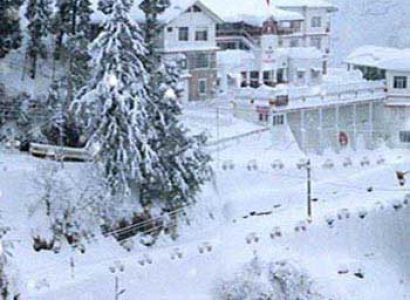 Holiday in Shimla and Chail