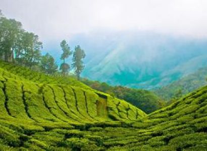 Graceful Kerala Tour