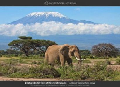 Flying Over Amboseli Tour