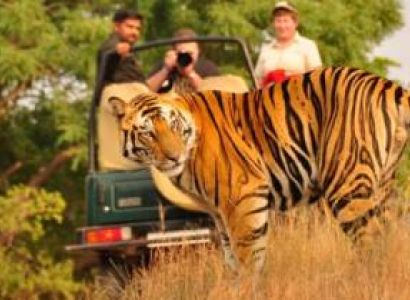 Jim Corbett Tour