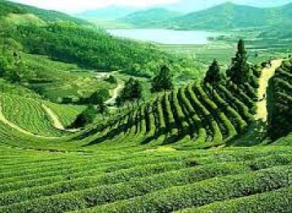 Darjeeling Tour