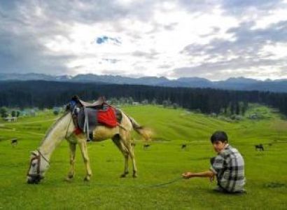 Roof Top of the World Package