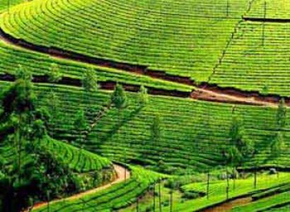 Lap of Nature Honeymoon Tour