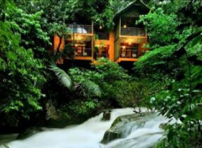 Wayanad Tour with Vythiri Treehouse