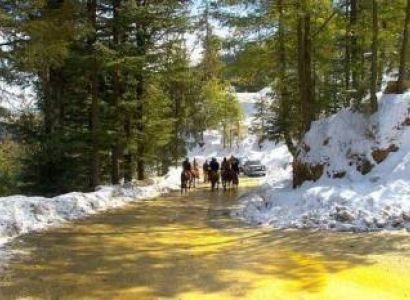 3 Nights 4 Days Delhi-Manali-Delhi By Car Tour