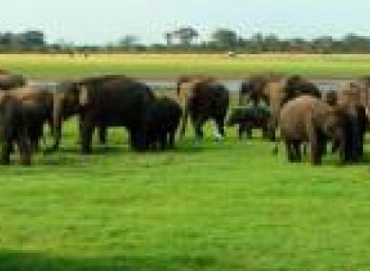 12 Days Best of Sri Lanka Tour