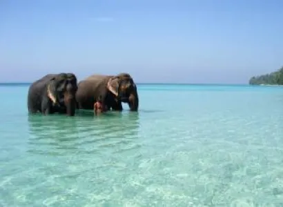 Amazing Andaman Tour