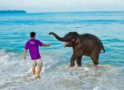 Andaman Tour