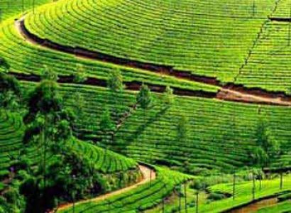 Kerala Tour Package