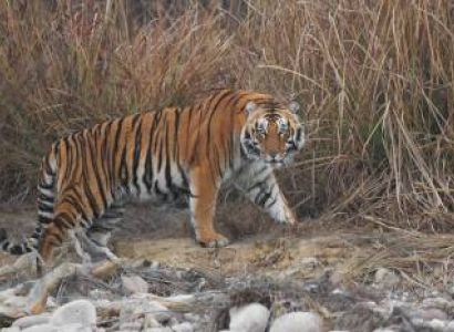 Delhi to Corbett Tour