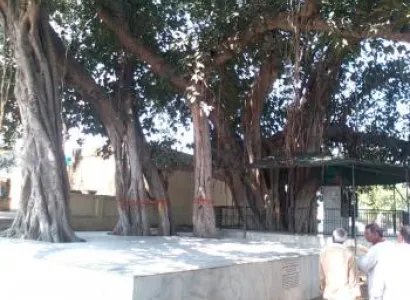 Shri Braj Mandal 84 Kos Yatra Package