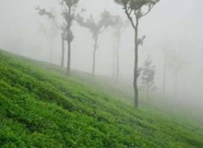 Mysore and Ooty Family Trip