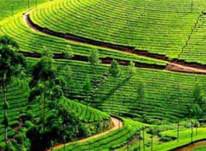 Kerala God Own Country Tour