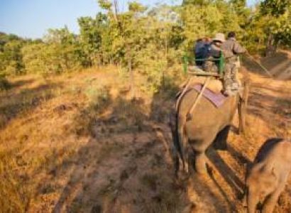 Satpura National Park Package
