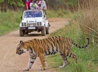 Jabalpur to Bandhavgarh Tour Package