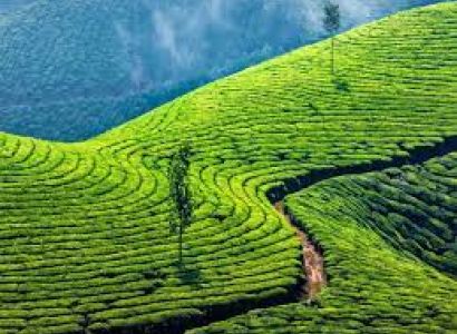 Coimbatore Local Sightseeing & Munnar 2 Night 3 Days