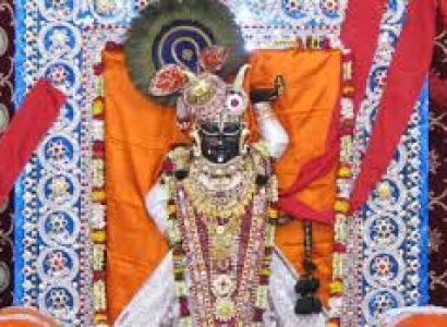 Darshan Of Lord Shreenathj Tour