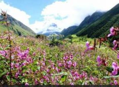 Trekking in Valley of Flowers Tour