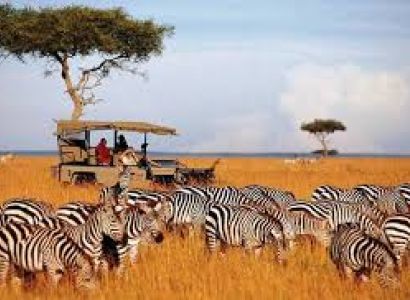 7 Days Pride Kenya Safari Tour