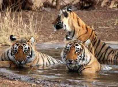 Uttarakhand Holiday Packages