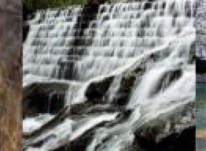 Golden Triangle Of MP 5N - 6D Tour