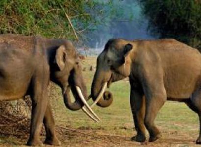 Guwahati - Shillong - Kaziranga - Imphal - Agartala Tour