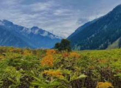 6 Nights - 7 Days Kashmir Standard Package