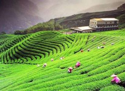 South Sikkim Tour Package