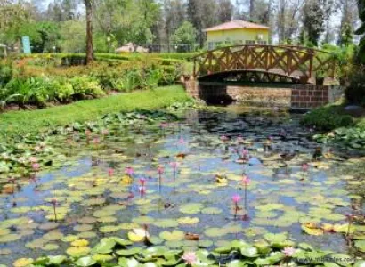 Spectacular Daman and Silvassa Tour